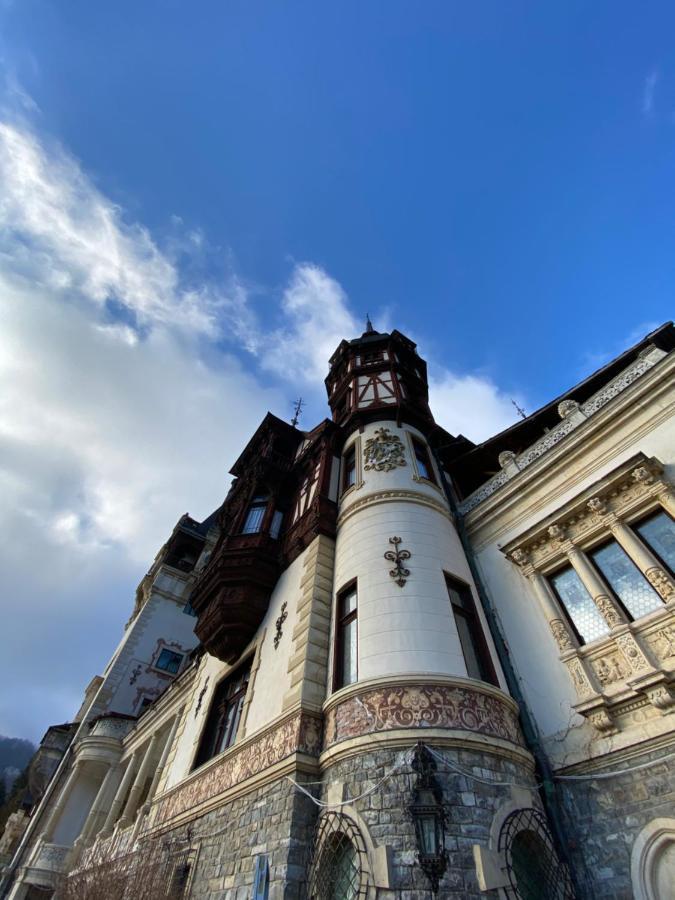 Vila De Argint Aleea Pelesului Nr 2 Синая Экстерьер фото