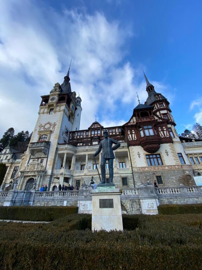Vila De Argint Aleea Pelesului Nr 2 Синая Экстерьер фото