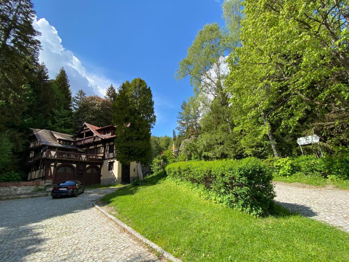 Vila De Argint Aleea Pelesului Nr 2 Синая Экстерьер фото