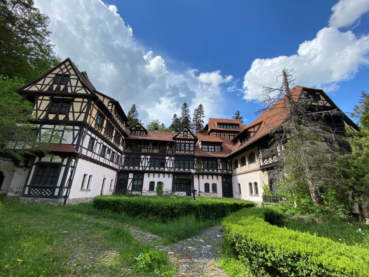 Vila De Argint Aleea Pelesului Nr 2 Синая Экстерьер фото