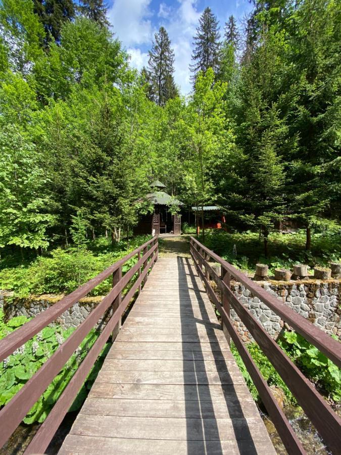 Vila De Argint Aleea Pelesului Nr 2 Синая Экстерьер фото