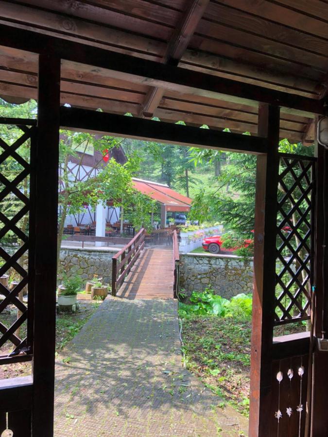 Vila De Argint Aleea Pelesului Nr 2 Синая Экстерьер фото